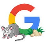 Possum, la mise à jour de l’algorithme de recherche locale de Google