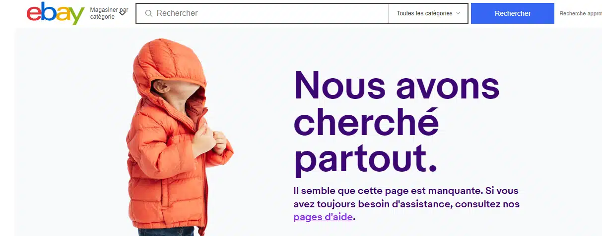 Page personnalisée d'erreur 404 de Ebay