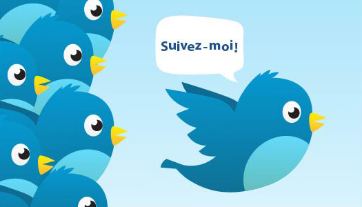 twitter-abonnes