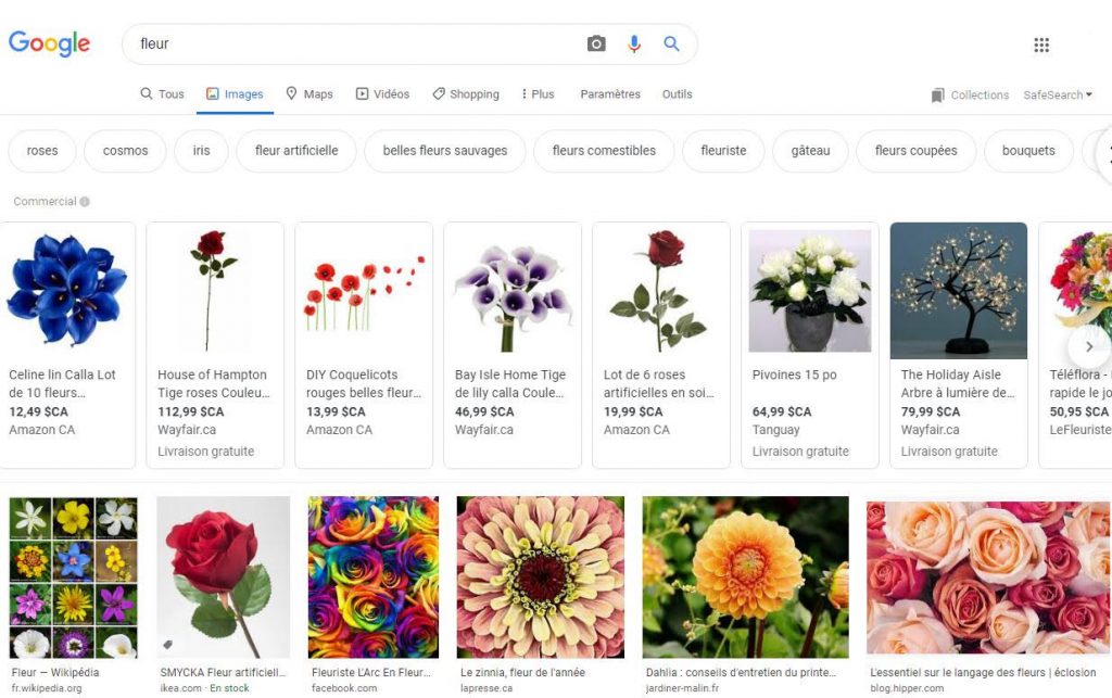 Fleurs Google