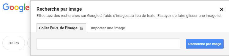 Recherche images Google