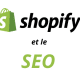 Shopify et le SEO